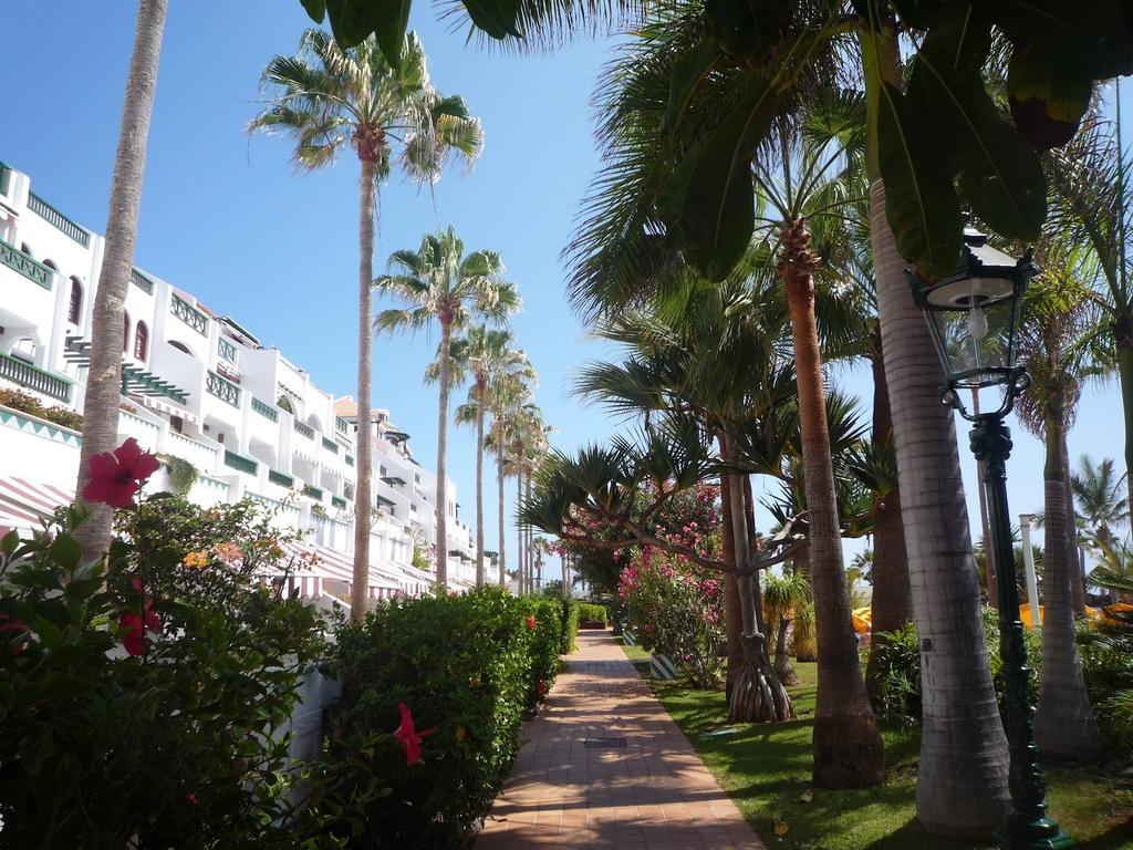 4 Santiago Playa Tenerife Estudio プラヤ・デ・ラス・アメリカス 部屋 写真